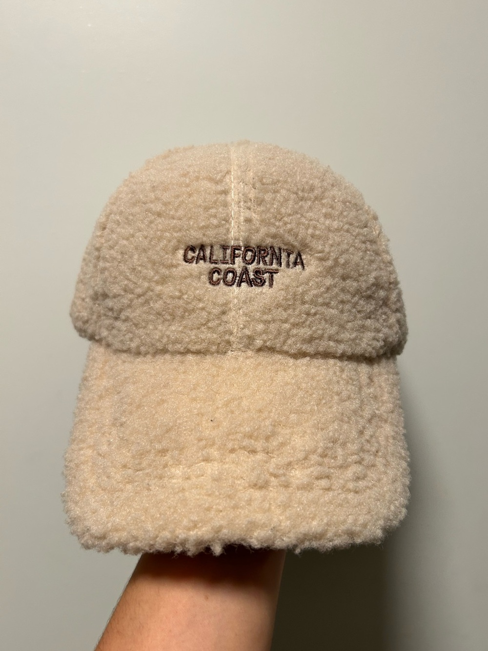 California Coast Fuzzy Sherpa Cream Dad Hat